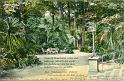 Pillnitz (130)
